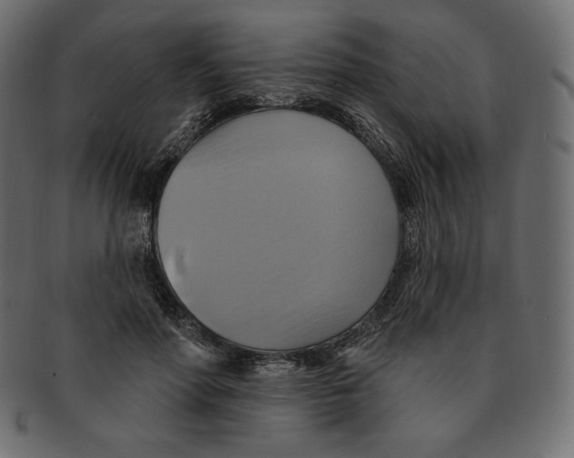 X0000091910598200710031020