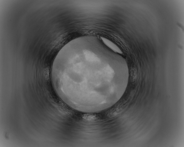 X0000091910602200710031020