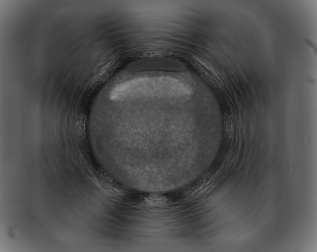 X0000091910603200710031020