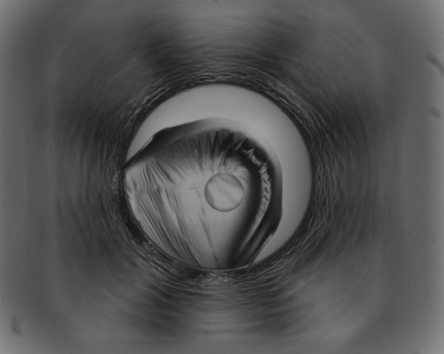 X0000091910604200710031020