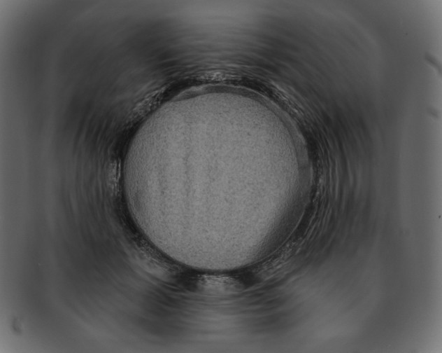 X0000091910605200710031020