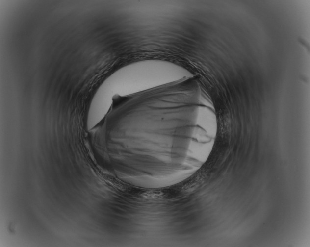 X0000091910606200710031020