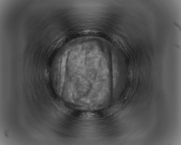 X0000091910607200710031020