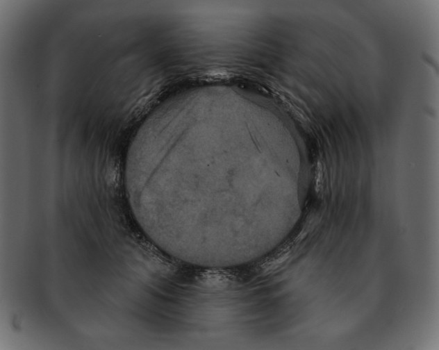 X0000091910608200710031020