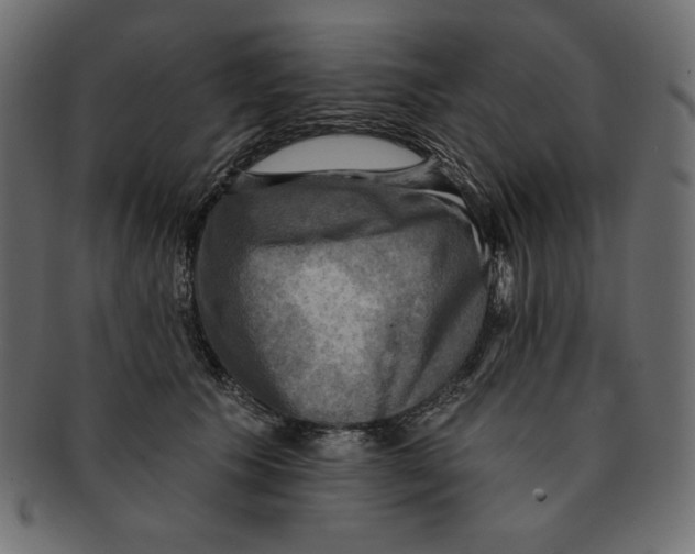 X0000091910609200710031020