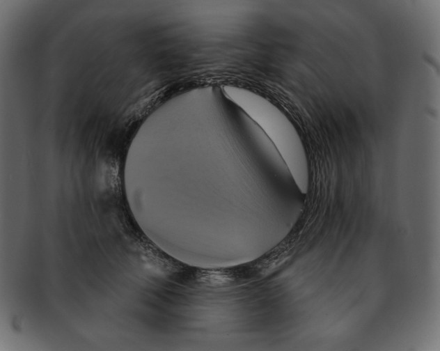 X0000091910610200710031020