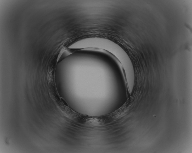 X0000091910611200710031020