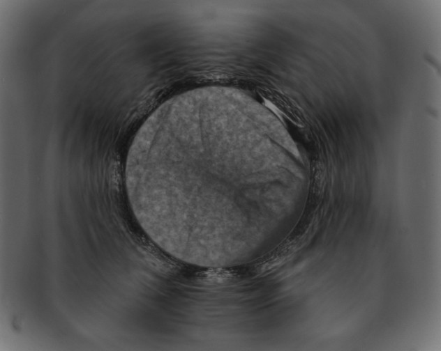 X0000091910612200710031020