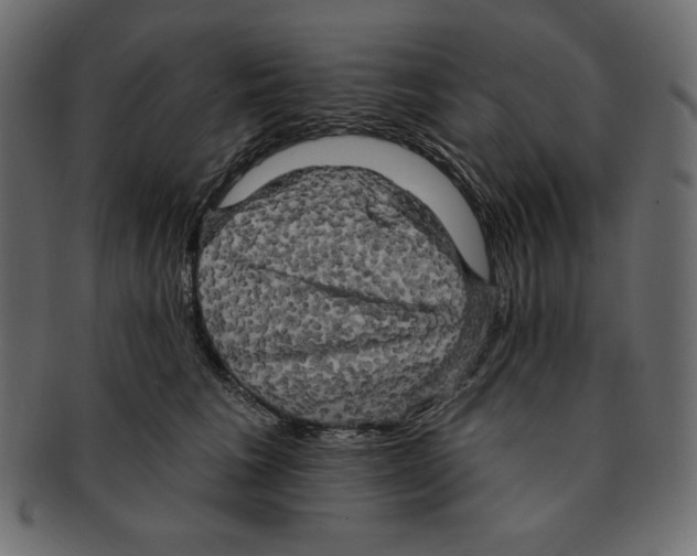 X0000091910613200710031020