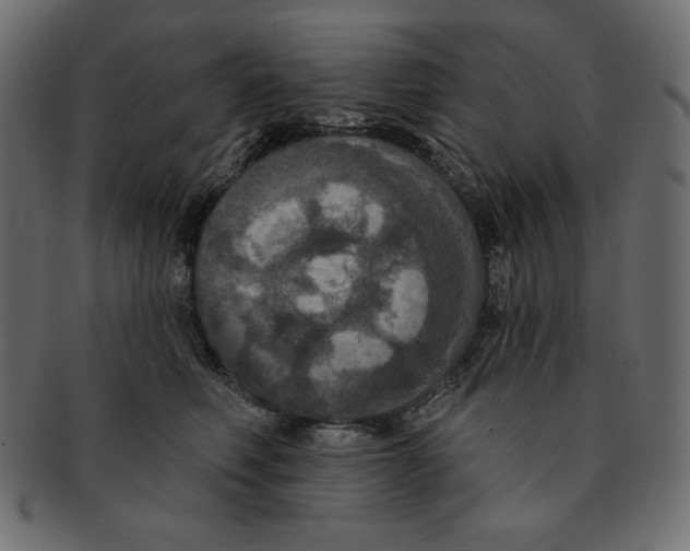 X0000091910614200710031020