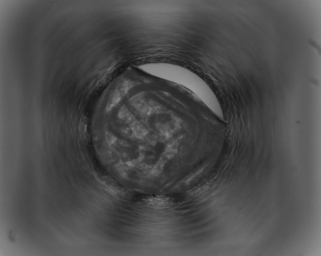 X0000091910615200710031020