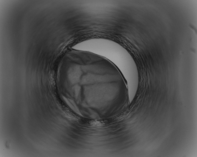 X0000091910616200710031020