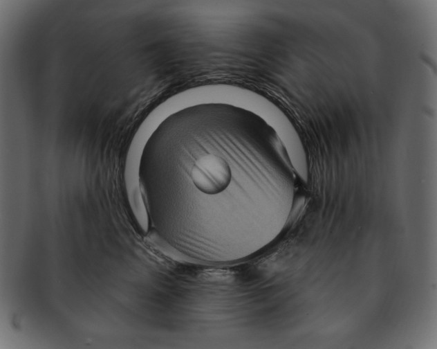 X0000091910617200710031020