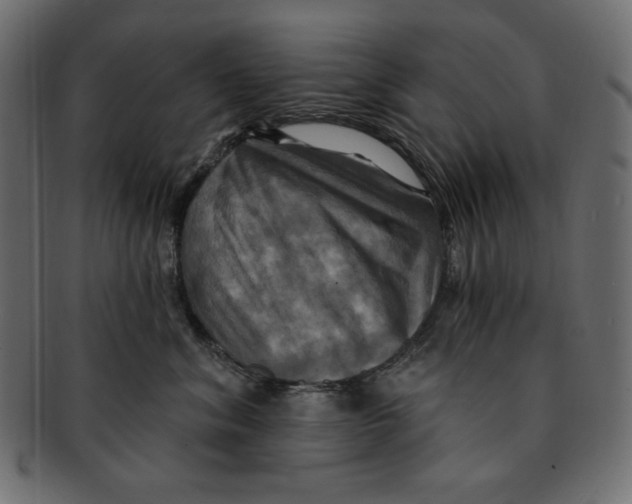 X0000091910620200710031020