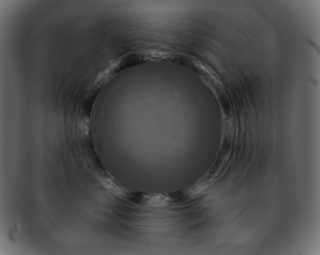 X0000091910621200710031020