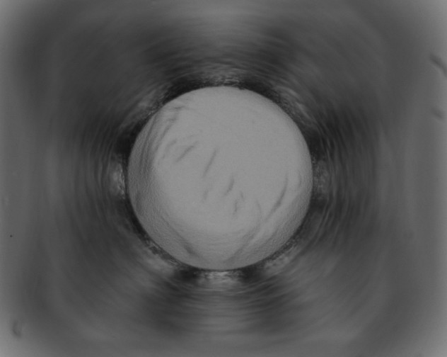 X0000091910622200710031020