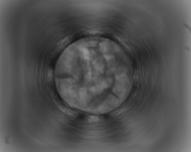 X0000091910623200710031020