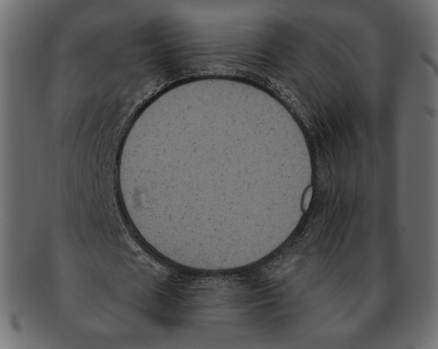 X0000091910625200710031019