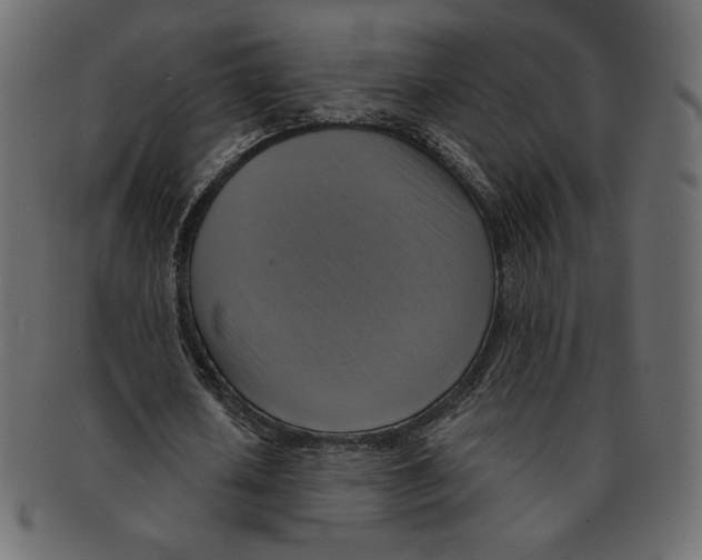 X0000091910626200710031019