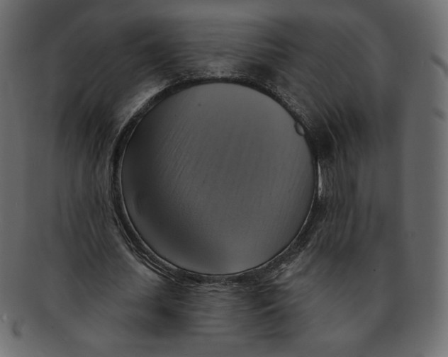 X0000091910627200710031019