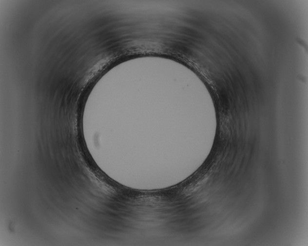 X0000091910629200710031019