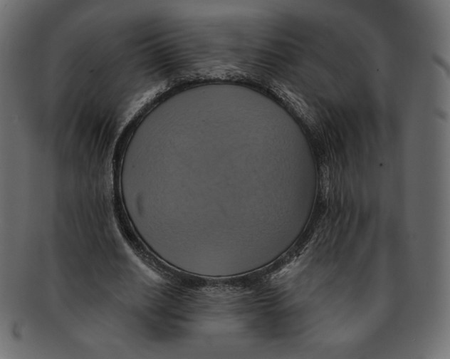 X0000091910630200710031019