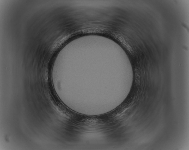 X0000091910631200710031019