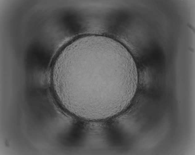 X0000091910632200710031019