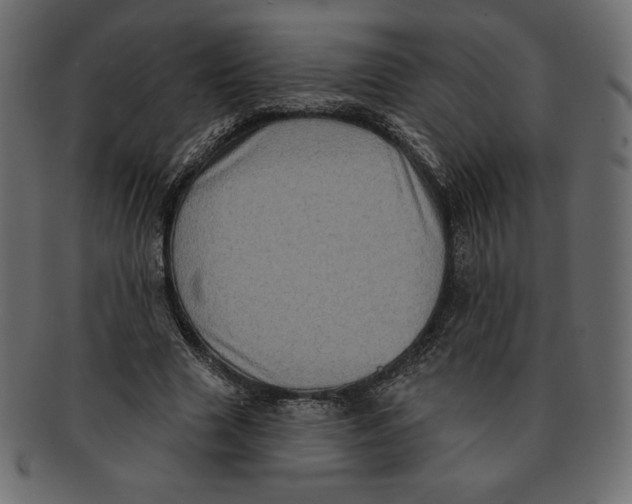 X0000091910633200710031019