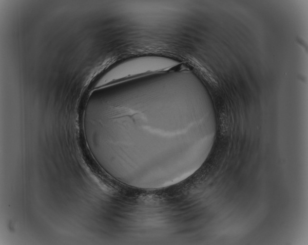 X0000091910634200710031019