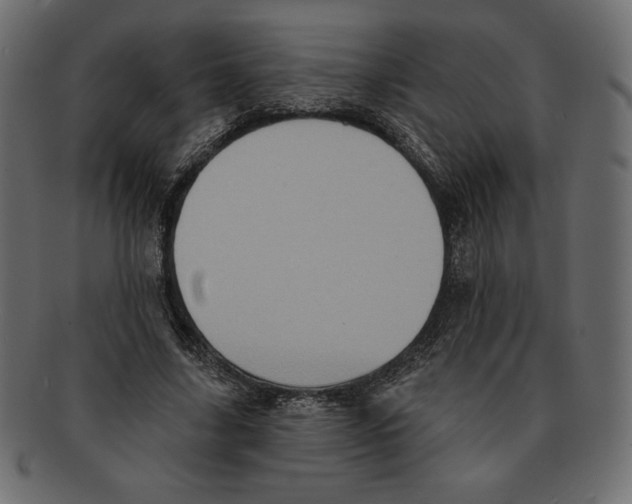 X0000091910635200710031019