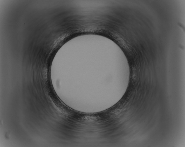 X0000091910636200710031020