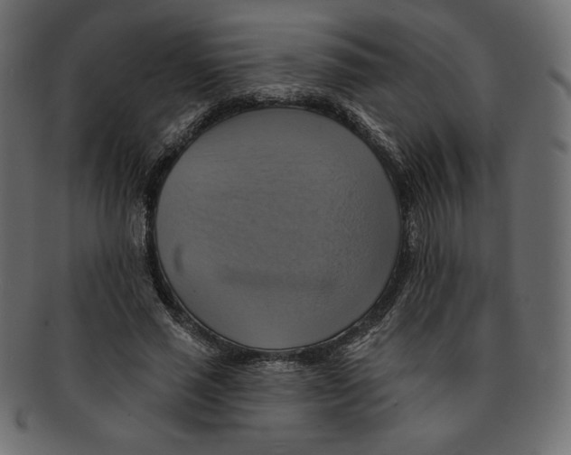 X0000091910637200710031020