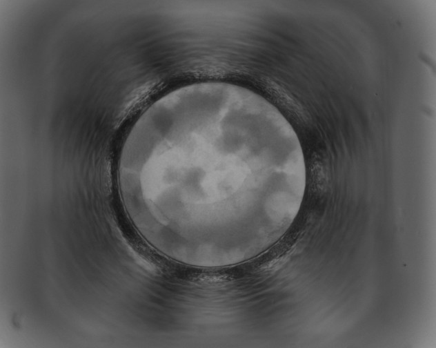 X0000091910638200710031020