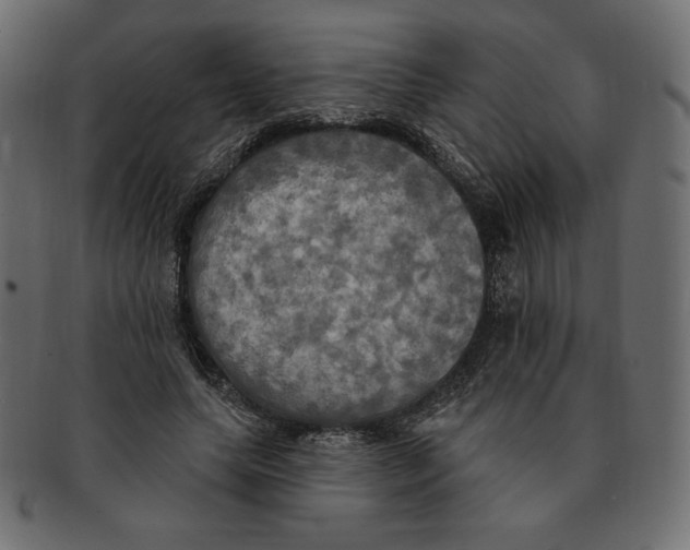 X0000091910639200710031020