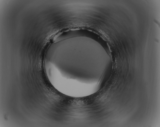 X0000091910640200710031020