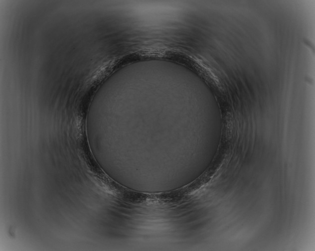 X0000091910641200710031020