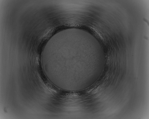 X0000091910643200710031020