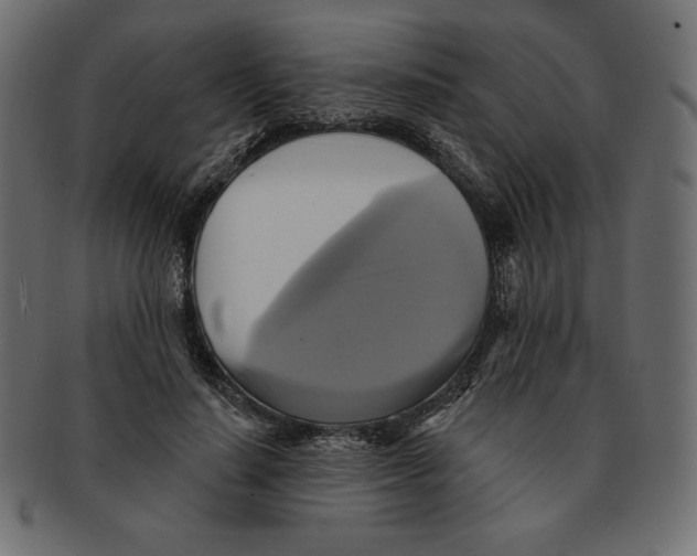 X0000091910644200710031020