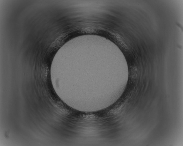 X0000091910645200710031020