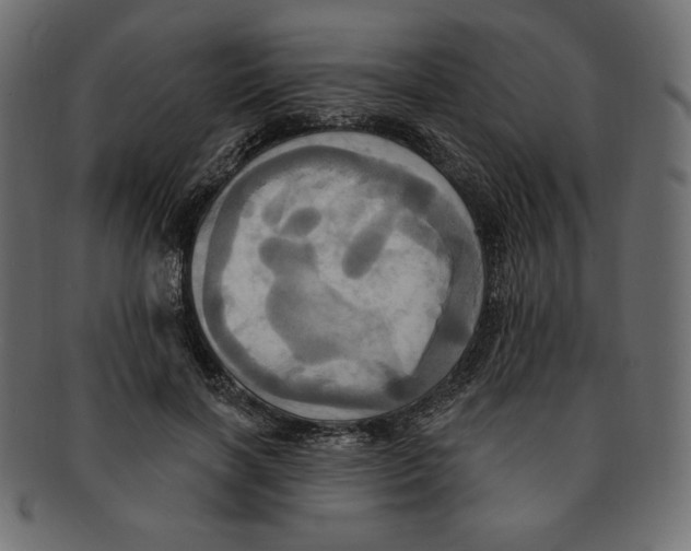 X0000091910646200710031020