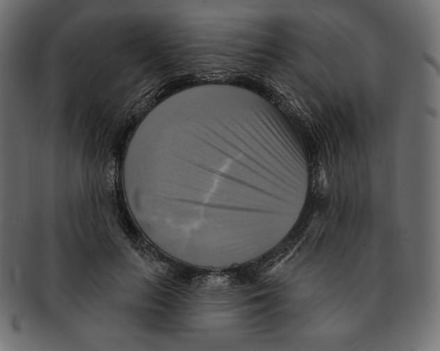 X0000091910647200710031020