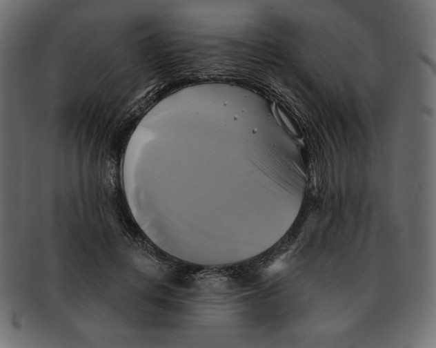 X0000091910648200710031020