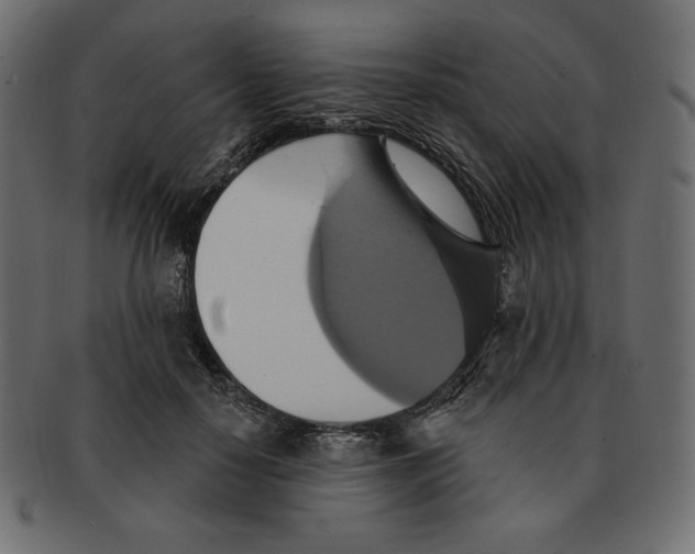 X0000091910650200710031020