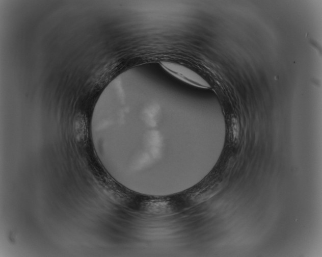 X0000091910651200710031020