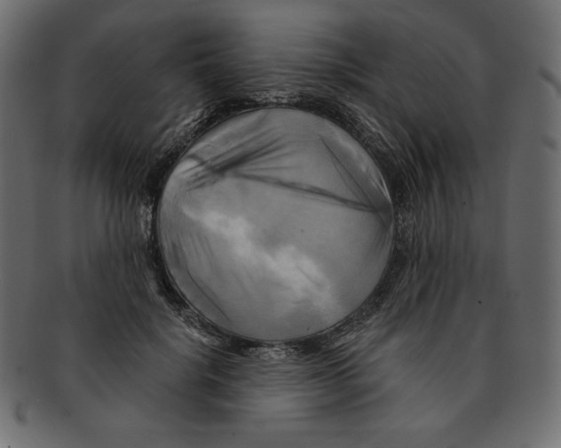 X0000091910652200710031020