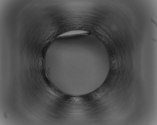 X0000091910654200710031020