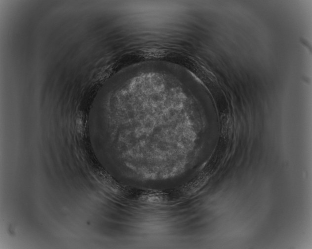 X0000091910655200710031020