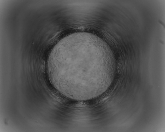 X0000091910656200710031020