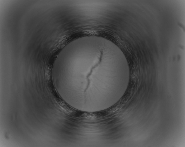 X0000091910658200710031020